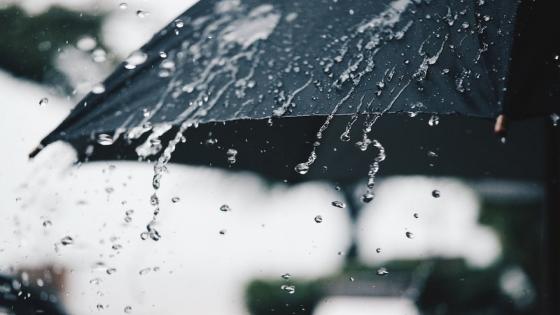 طقس الإثنين: غيوم وأمطار رعدية بعدد من مناطق المملكة