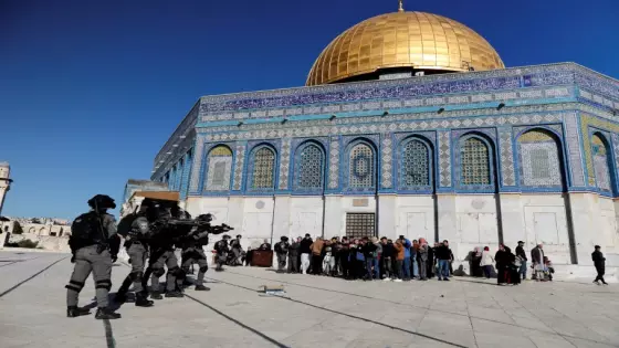 تحت حماية قوات الاحتلال…مستعمرون يقتحمون باحات المسجد الأقصى