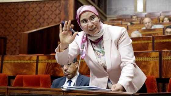 البرلمان يستفسر الوافي عن وضعية القاصرين المغاربة المتواجدين بطريقة غير قانونية بأوروبا